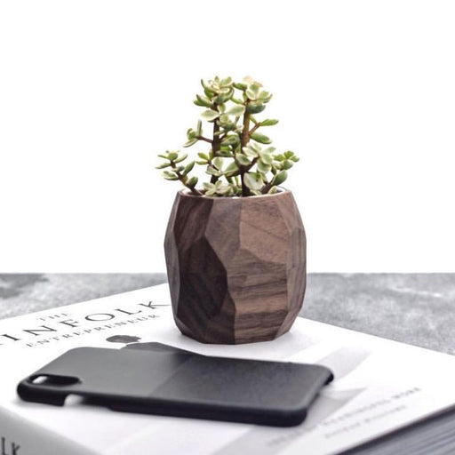 Vaso para Planta Suculenta | Madeira Nogueira
