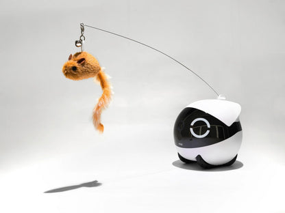 Enabot Rola Cat Teaser