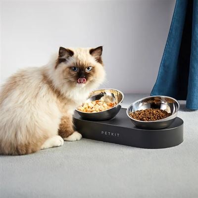 Bebedouro Fresh Nano Metal 15° Adjustable Cat Feeding Bowl