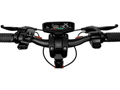 Electric Scooter 10P 500Ct 15Ah 800W